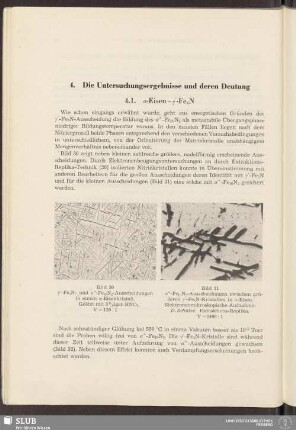 4. Die Untersuchungsergebnisse und deren Deutung
