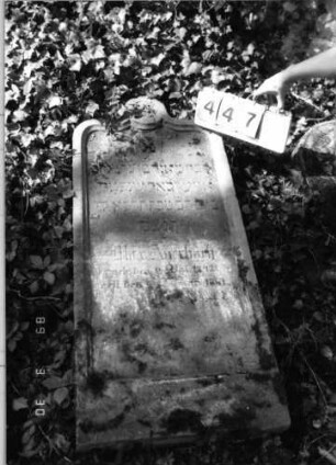 Grabstein 447 (Index: 99791989) Material: Sandstein Zustand: verwittert mit Textverlust, Stele liegend Maße HxBxT: 118x51x13 cm Beschreibung: Stele, geschwungener Abschluß mit Mittelakroter, Schriftfeld eingetieft Symbolik: Blüte: Grabstein 447
