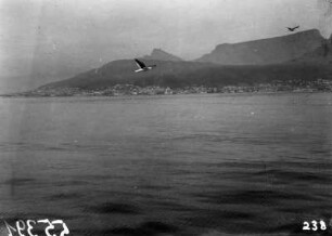 Seevögel : Blick auf das Meer vor Kapstadt mit Möwen