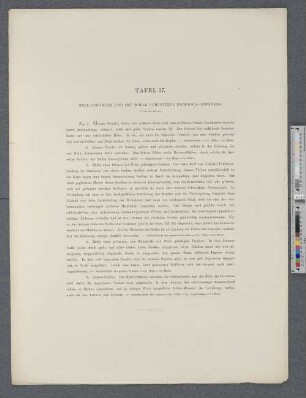 Tafel 37. Woll-Gewänder und mit Wolle gemusterte Baumwoll-Gewänder.