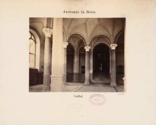 Rheinische Friedrich-Wilhelms-Universität Bonn Anatomisches Institut: Vestibül