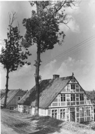 Hetlingen. Dörfliche Idylle am Elbdeich bei Hetlingen. Norddeutsches Fachwerkhaus