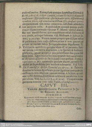Caput III. Variam Acceptionem Patientiae In Iure Romano Allegans