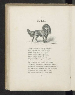 Der Pudel.