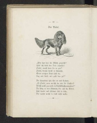 Der Pudel.
