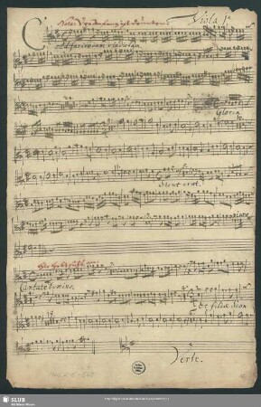Viola 1[m]a