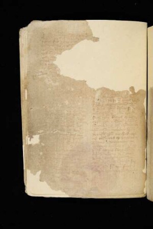 [Impinguasti] in oleo caput meum …