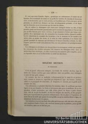 Dixième Section. Du noisetier.