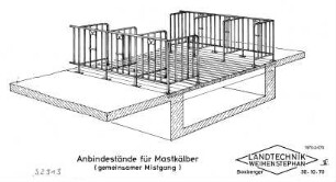 Anbindeställe für Mastkälber (gemeinsamer Mistgang)