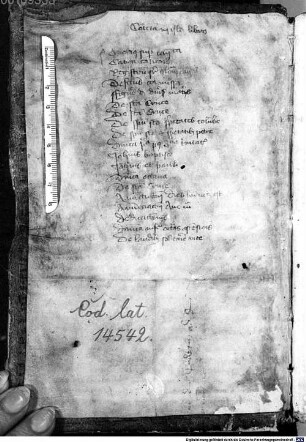 Honorii Augustod. commentarius in Cantica canticorum [u.a.] - BSB Clm 14542