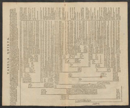 Tabula Quinta.