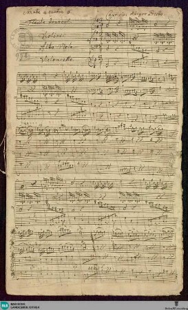 Sonatas - Mus. Hs. 978 : fl, vl, a-vla, bc; G