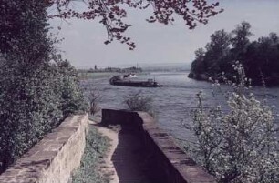 Dresden-Pillnitz. Blick auf Schiffe auf der Elbe