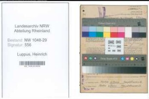 Entnazifizierung Heinrich Luppus , geb. 04.06.1908 (Beamter)