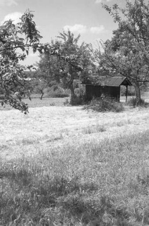 Planungen zur Verleihung des Landschaftsschutz-Status für das Gebiet "Grötzinger Bergwald - Knittelberg"