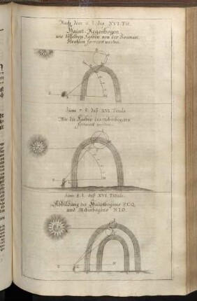 Nach dem 6. §. des XVI. Tit. - Zum 7. §. deß XVI. Tituls. - Zum 8.l §. deß XVI. Tituls.