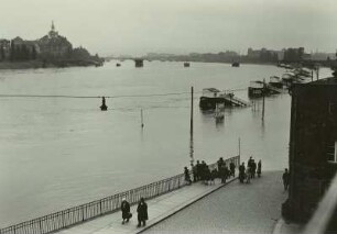Dresden. Elbehochwasser an der Dampferanlegestelle an der Brühlschen Terrasse : Terrassenufer, Hochwasser 1954