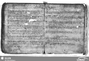 Grimm, Heinrich: Singet dem Herrn ein neues Lied lobsinget seinem Namen