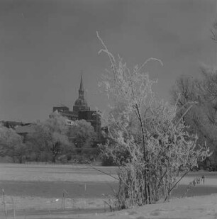 Stralsund. St.-Nikolai-Kirche, von Osten