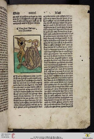 von sant Niclaus von Aconiten
