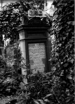 Grabstein 629