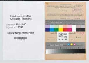 Entnazifizierung Hans Peter Stoehrmann, geb. 22.05.1908 (Techn.Inspektor)