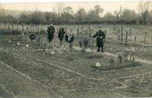 Soldatenfriedhof mit Massengrab