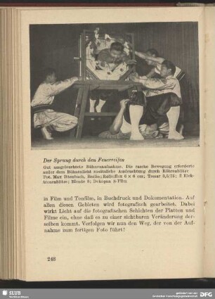 Der Sprung durch den Feuerreifen