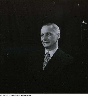 Portraitserie Schmelzer