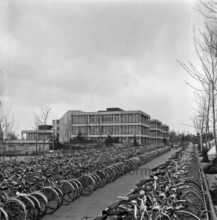 Schulzentrum mit Hauptschule, Realschule und Gymnasium [später Gemeinschaftsschule Sönke-Nissen-Schule und Gymnasium Glinde]: Oher Weg: Außenansicht des Gymnasiums: davor Fahrradparkplatz mit Reihen von Fahrrädern