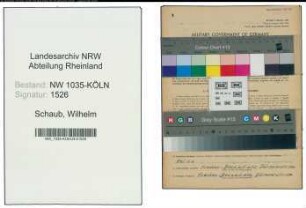 Entnazifizierung Wilhelm Schaub , geb. 01.02.1900 (Anstreicher)