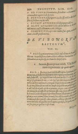 De Vi Bonorum Raptorum*. Tit. II.