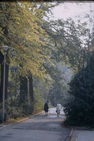 Allee, Detmold; farbig