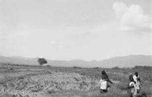 Anseba Graben (Reise durch Italienisch-Ostafrika, Sept./Okt. 1937 – 3. Fahrt: Asmara - Keren und zurück)