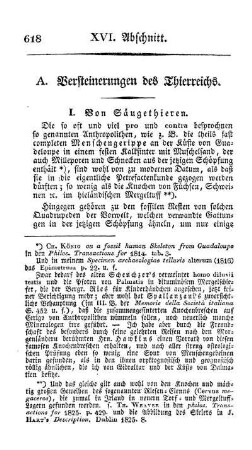 A. Versteinerungen des Thierreichs