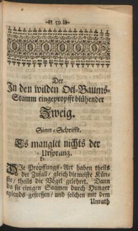 Der In den wilden Oel-Baums-Stamm eingepropfft blühender Zweig