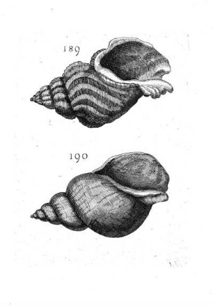 189. - 190.