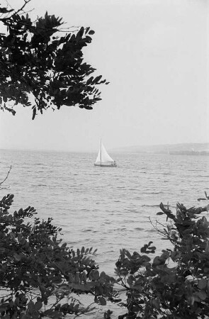 Eine Segeljolle auf dem Süßen See bei Seeburg