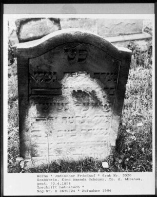 Grabstein von Kind Amanda Scheuer, Tochter des Abraham (gestorben 1854.04.30)