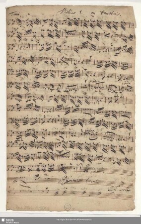 Violino 1. o Hautbois. / Hautbois d'amour. Solo.