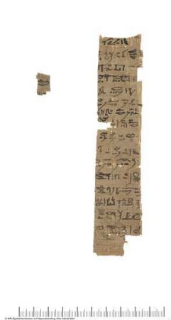 Hieratischer Papyrus, Buch vom Tempel (?)