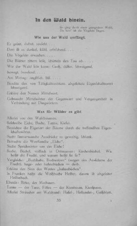 In den Wald hinein