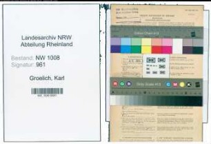 Entnazifizierung Karl Groelich , geb. 08.05.1907 (Masch.Techniker)