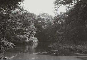 Auenlandschaft der Elster-Luppe. Das den Polenz im Süden umfließende Hundewasser mit dichtem Uferbewuchs