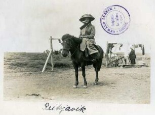 Island. Touristin der Hapag auf einem Pony in der Umgebung von Reykjavik