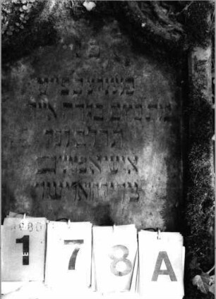 Grabstein 178 (Index: 99792302) Material: Sandstein Zustand: leicht verwittert, Stele liegend Maße HxBxT: 90x48x9 cm Beschreibung: Stele, Abschluß ?, Schriftfeld eingetieft: Grabstein 178A