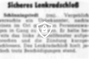 Sicheres Lenkradschloß