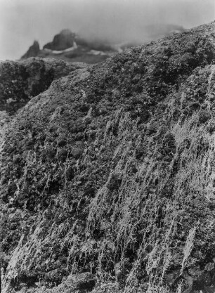 Felswand : Felswand im Mount-Kenya-Massiv