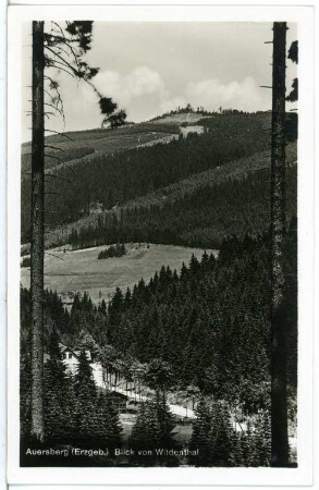Wildenthal. Wildenthal mit dem Auersberg