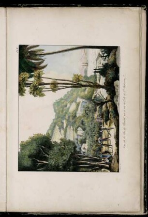 Pl. V. Vue de la côte de Brésil, vis à vis de l'Île de Ste Catherine